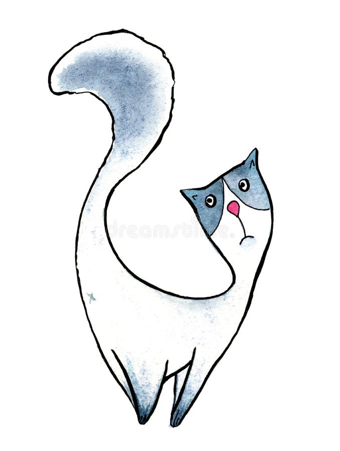 Proud cat watercolor. Illustration isolation objects. Proud cat watercolor. Illustration isolation objects