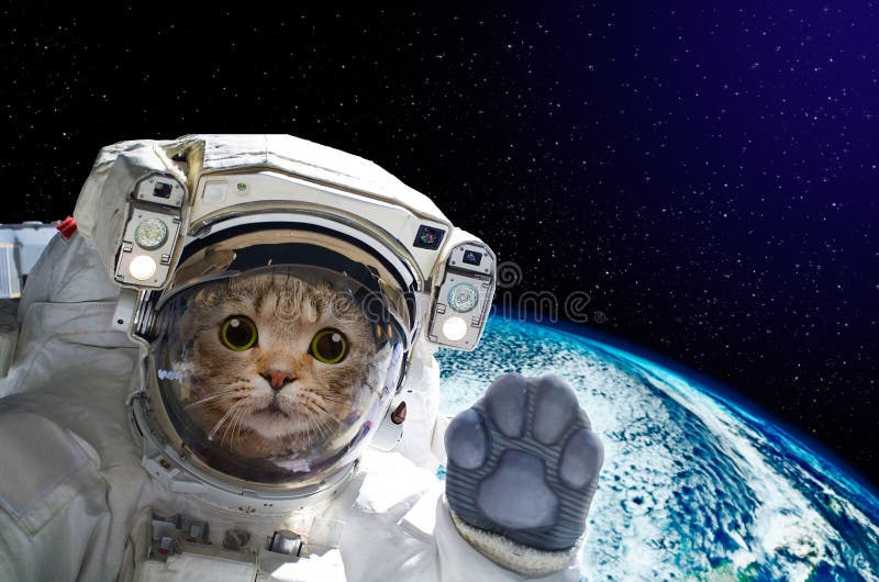 Kattastronaut i utrymme på bakgrund av jordklotet Kattastronaut i utrymme på bakgrund av jordklotet