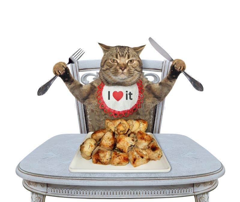 Ringlet Voor type Voorkeursbehandeling Katten Eten Gebakken Vlees Met Grijze Tafel Stock Afbeelding - Image of  geïsoleerd, humeur: 195015749