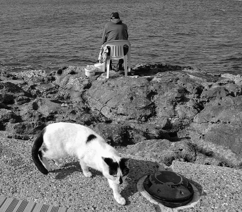 Katten och fiskaren på steniga Paphos sätter på land i monokrom royaltyfria foton Katten och fiskaren på steniga Paphos sätter på land i monokrom royaltyfria foton
