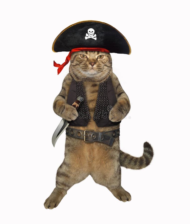 Kattenpiraat 1 stock fotografie Kattenpiraat 1 stock fotografie