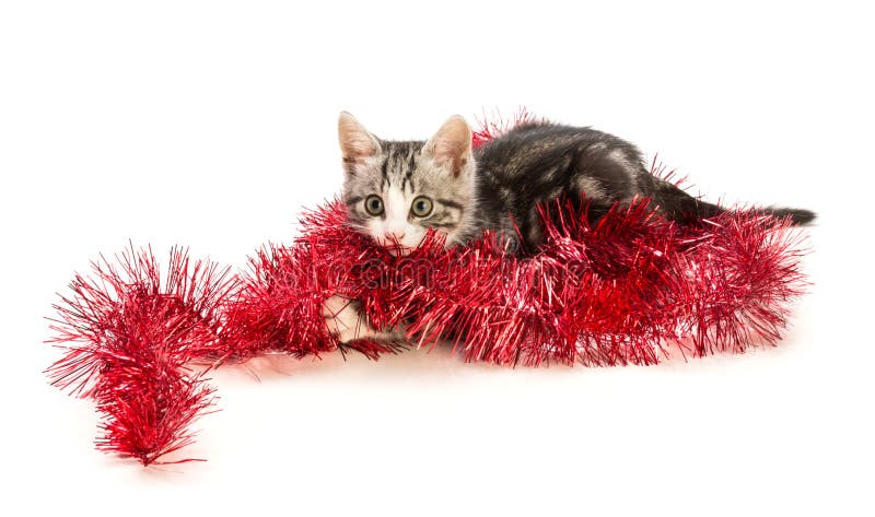 Kattungelekarna med en girland arkivbild Kattungelekarna med en girland arkivbild