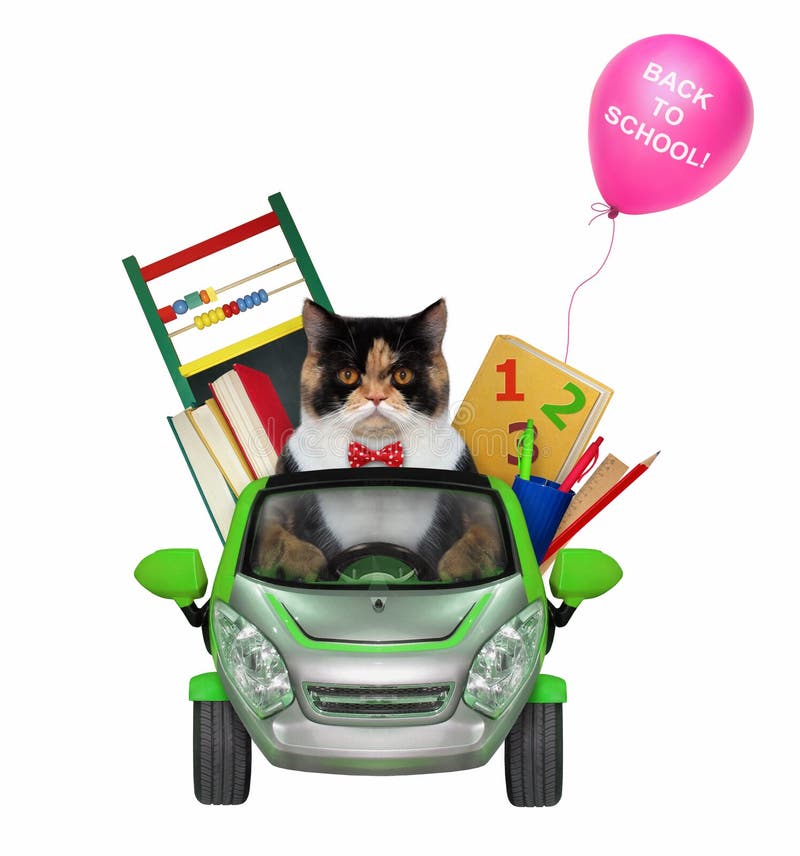 Katze geht, mit dem Auto zu schulen lizenzfreie stockfotografie Katze geht, mit dem Auto zu schulen lizenzfreie stockfotografie