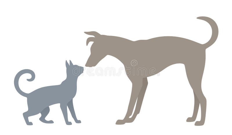 Cat and dog on a white background. Cat and dog on a white background