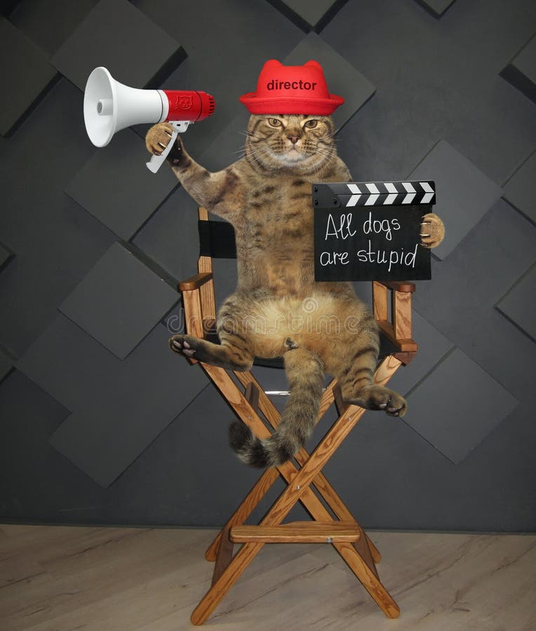 Katzendirektor auf Stuhl 3 lizenzfreies stockbild Katzendirektor auf Stuhl 3 lizenzfreies stockbild