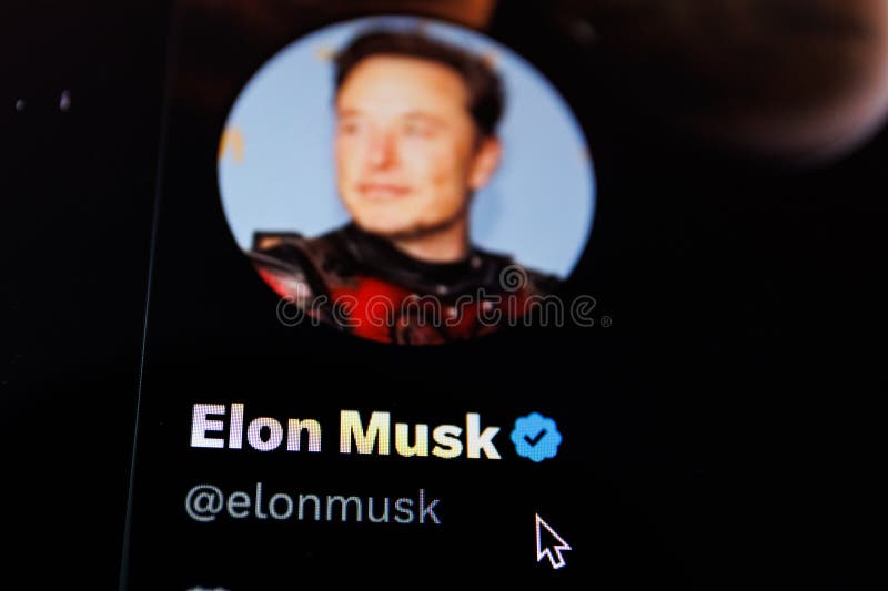 Elon Musk Twitter account on PC screen. Elon Musk is CEO of Twitter, Tesla and SpaceX