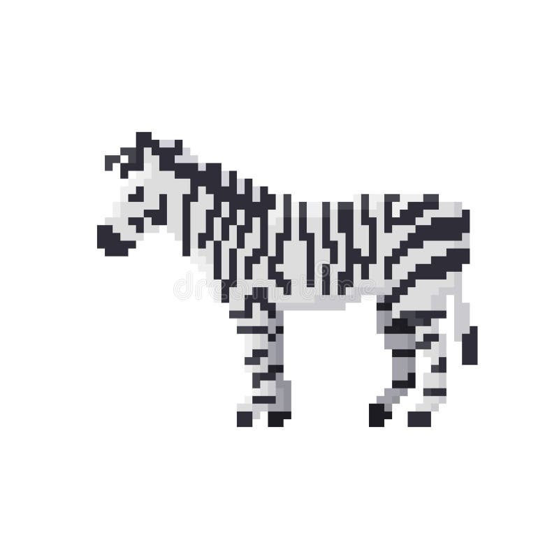 Kawałek zebra odizolowywająca royalty ilustracja