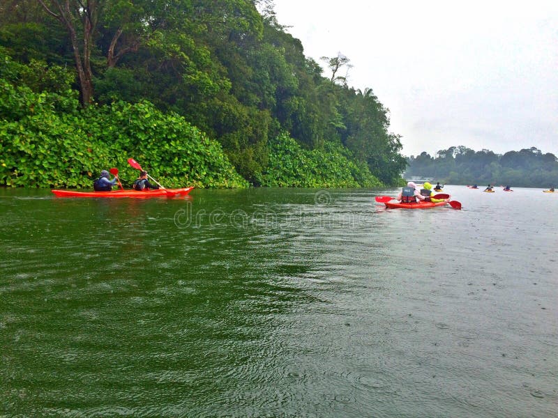 People kayaking along the forested shores of Upper Seletar reservoir, Singapore. People kayaking along the forested shores of Upper Seletar reservoir, Singapore