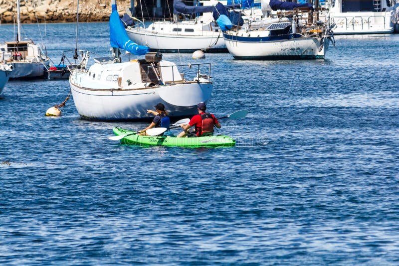 Monterey Kayaking Stock Photos Free & RoyaltyFree Stock Photos from