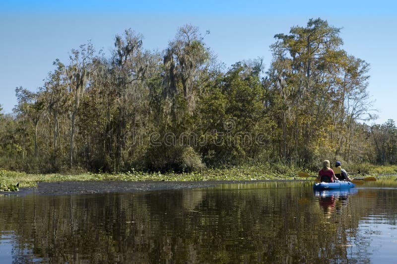 Kayaking the Creek stock photo. Image of moss, vacation 1454704
