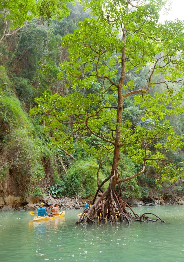Kayaking en Pang Nga Bay, Tailandia fotografía de archivo libre de regalías