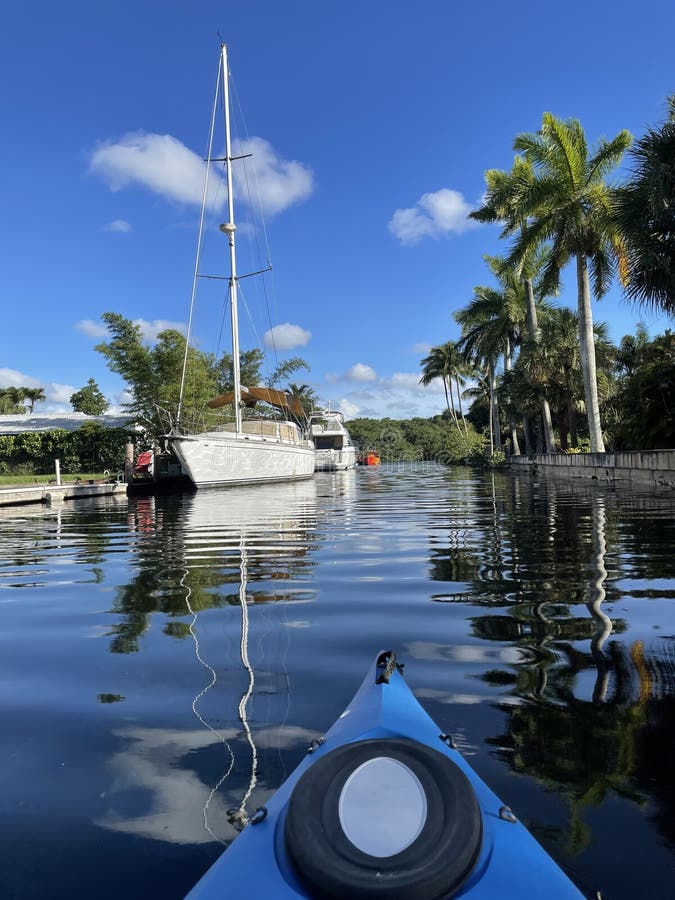 Kayaking in a River in Fort Lauderdale, Florida Stock Image Image of