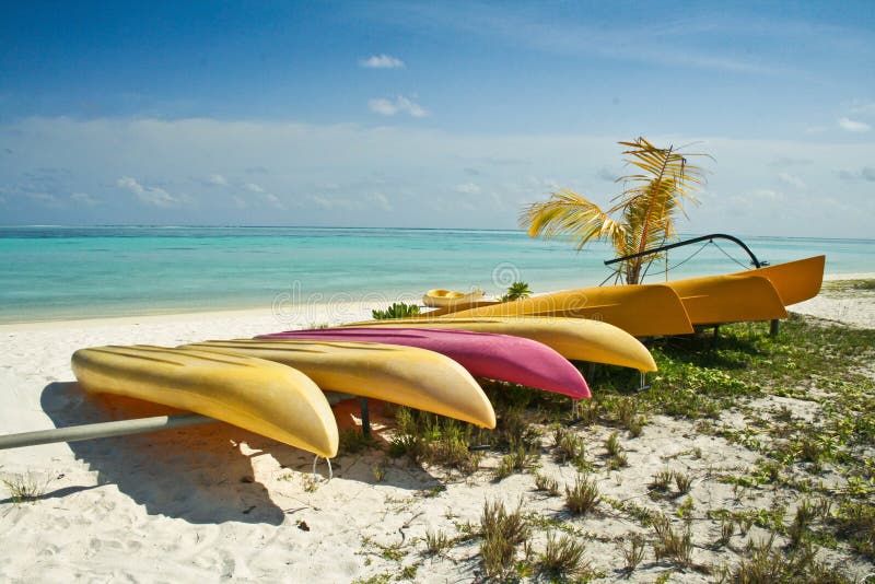 Kayaks On Beach At Honeymoon Cove Stock Photo Image of canoes