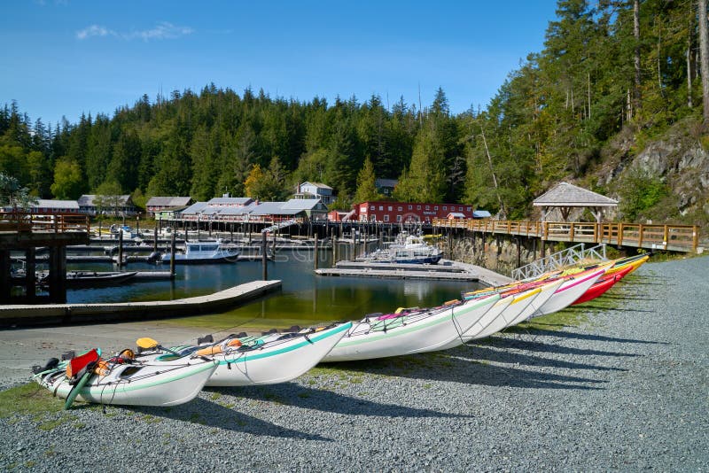 Kayaks on the Shore Telegraph Cove Stock Photo Image of canada