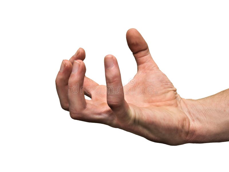 Hand with strong biceps stock photo. Image of model, masculinity 26018656