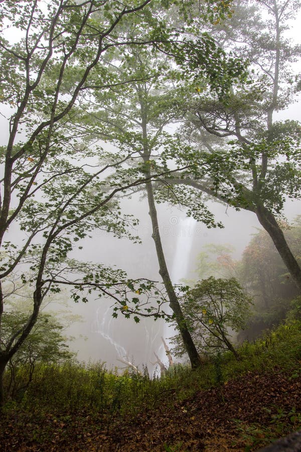 Kegon fällt in den Nebel, Nationalpark Nikko nahe der Stadt von Nikko, Tochigi Japan stockfoto Kegon fällt in den Nebel, Nationalpark Nikko nahe der Stadt von Nikko, Tochigi Japan stockfoto