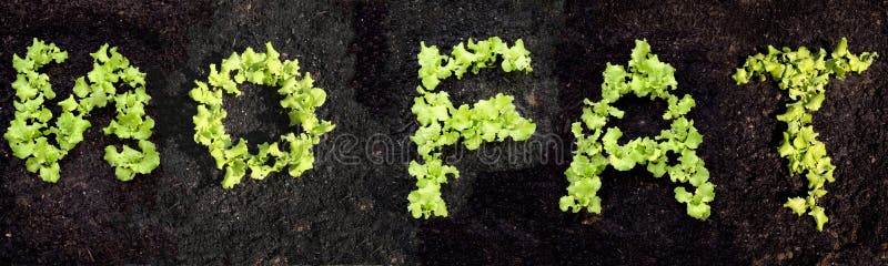 Kein Fett lizenzfreies stockbild Kein Fett lizenzfreies stockbild