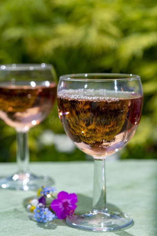 Kelnera dolewania zimna różany wino w szkłach w lato słonecznym dniu w kwitnąć ogród fotografia royalty free Kelnera dolewania zimna różany wino w szkłach w lato słonecznym dniu w kwitnąć ogród fotografia royalty free