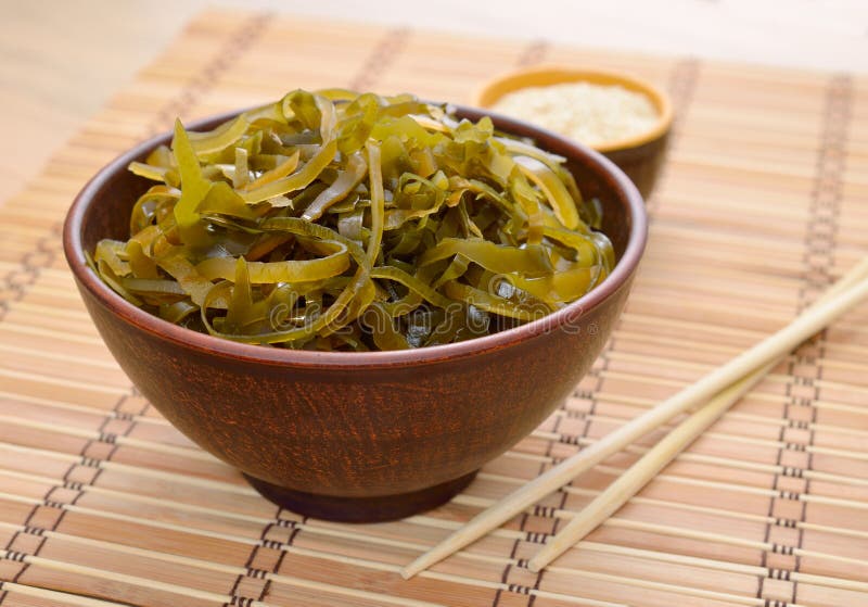 Kelp or Laminaria or Brown Seaweed Isolated Transparent Png Stock Photo