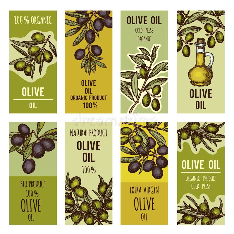 Kennsatzfamilie für Olivenölflaschen Vektordesignschablone für erstklassige Produkte stock abbildung Kennsatzfamilie für Olivenölflaschen Vektordesignschablone für erstklassige Produkte stock abbildung