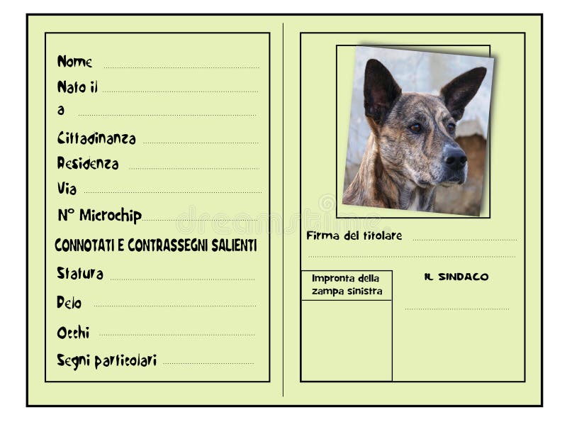 EU Auto Kennzeichen Nummernschild Aufkleber Kangal Hund dog Hunderasse