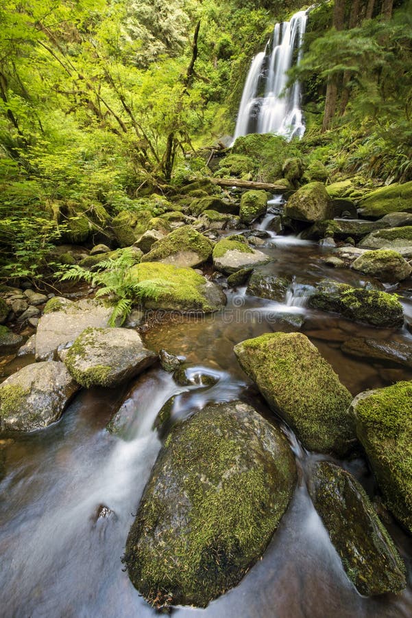 Kentucky Falls, Oregon