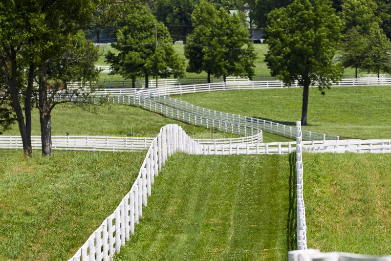 Un caballo más cercano, Estados Unidos de América.