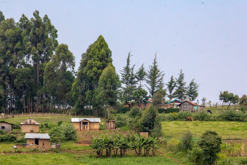 Kenyan Farmland image libre de droits Kenyan Farmland image libre de droits