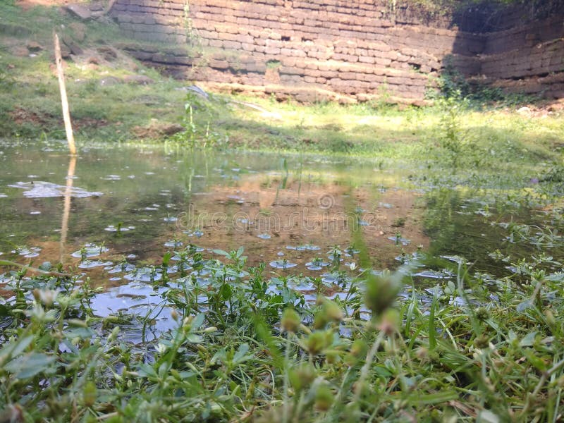 Hd Wallpapers Nature Kerala