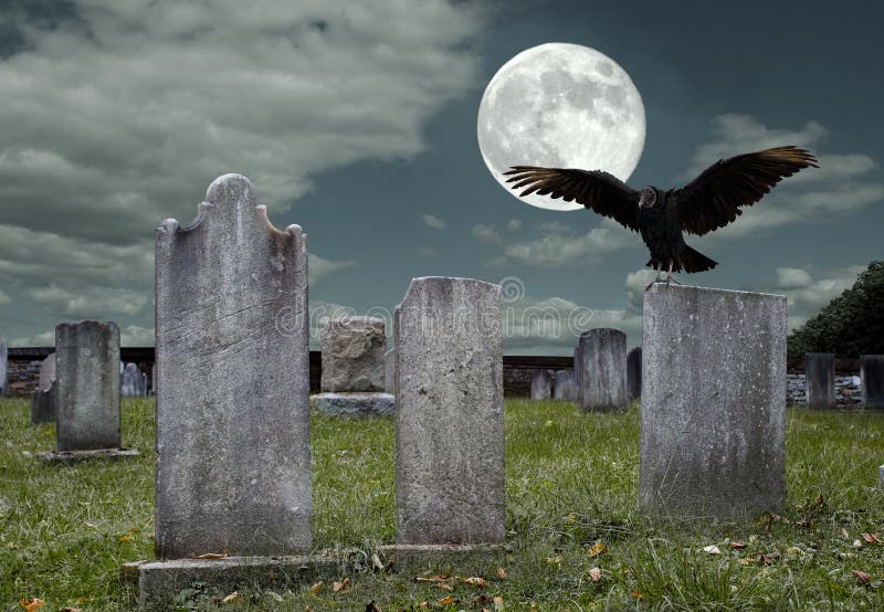 An old graveyard and vulture in the light of the full moon. An old graveyard and vulture in the light of the full moon.