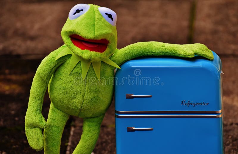 kermit the frog plush