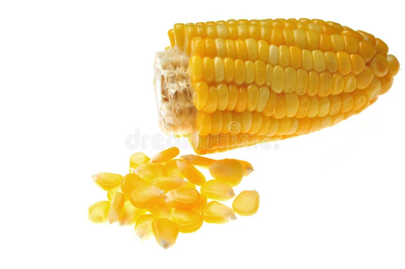 Filler Up...with Corn Based Ethanol Stock Image Image of biofuel, food 15941227