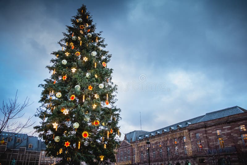 Kerstbomen op het centrale vierkant van Straatsburg stock afbeeldingen Kerstbomen op het centrale vierkant van Straatsburg stock afbeeldingen