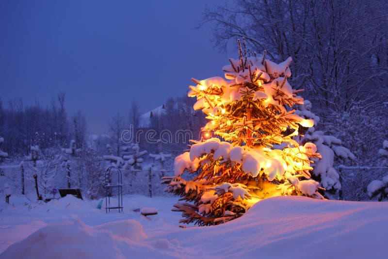Kerstboom royalty-vrije stock afbeeldingen