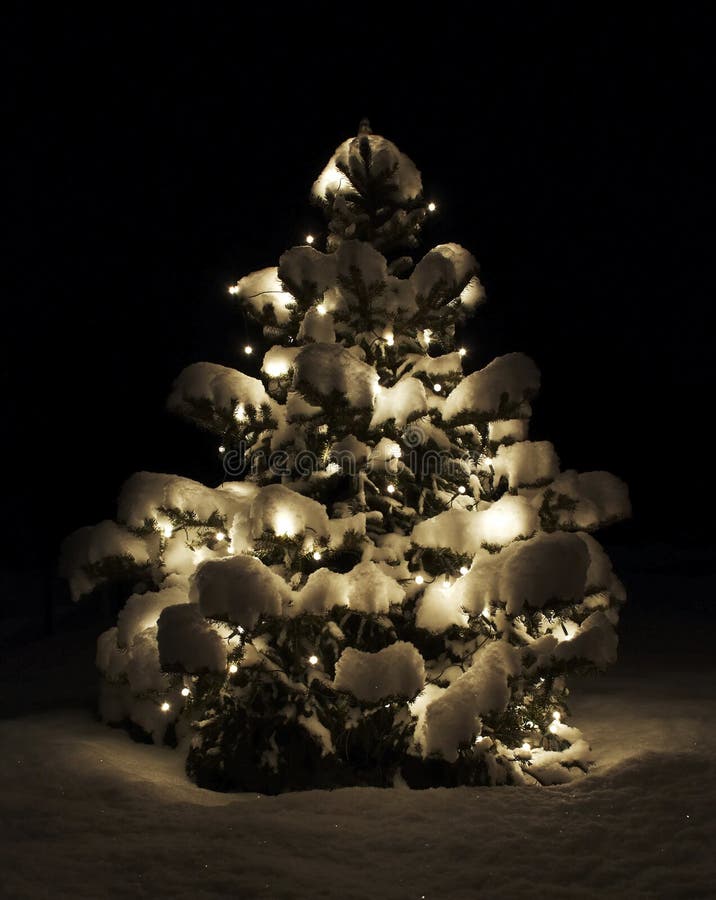 Kerstboom stock foto's