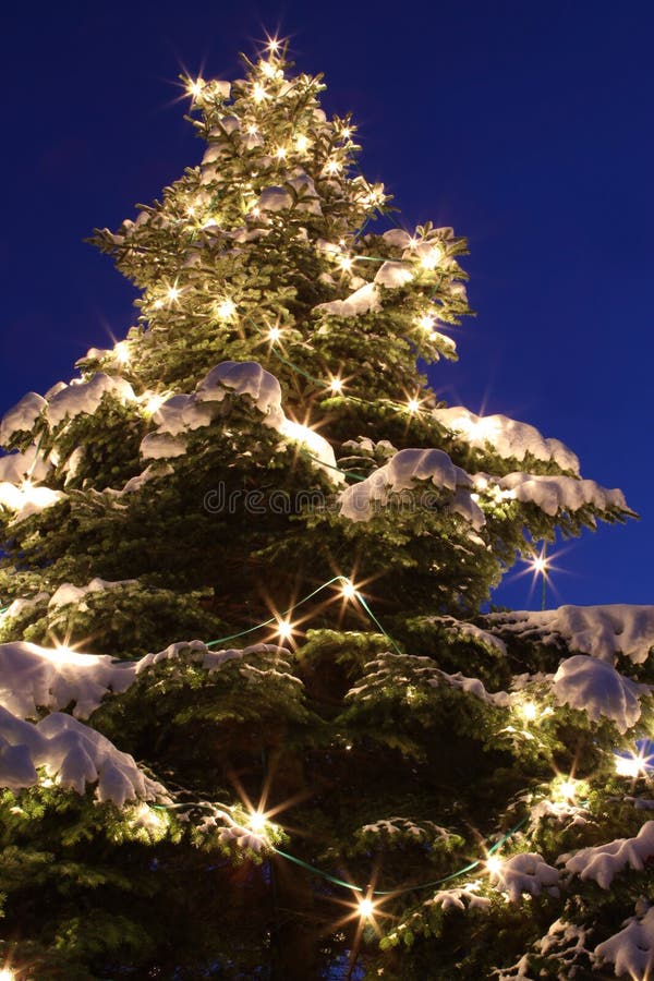 Kerstboom royalty-vrije stock afbeelding