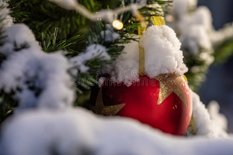 Kerstboom met slingerlichten en rode ballen wordt verfraaid die royalty-vrije stock afbeelding Kerstboom met slingerlichten en rode ballen wordt verfraaid die royalty-vrije stock afbeelding