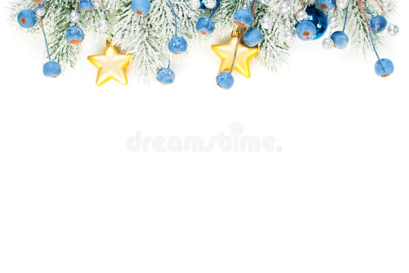Kerstcompositioneringsgrens met blauwe ingevroren bessen, sterren, gouden grasland en de tak van de boom van de Kerstboom geïsole