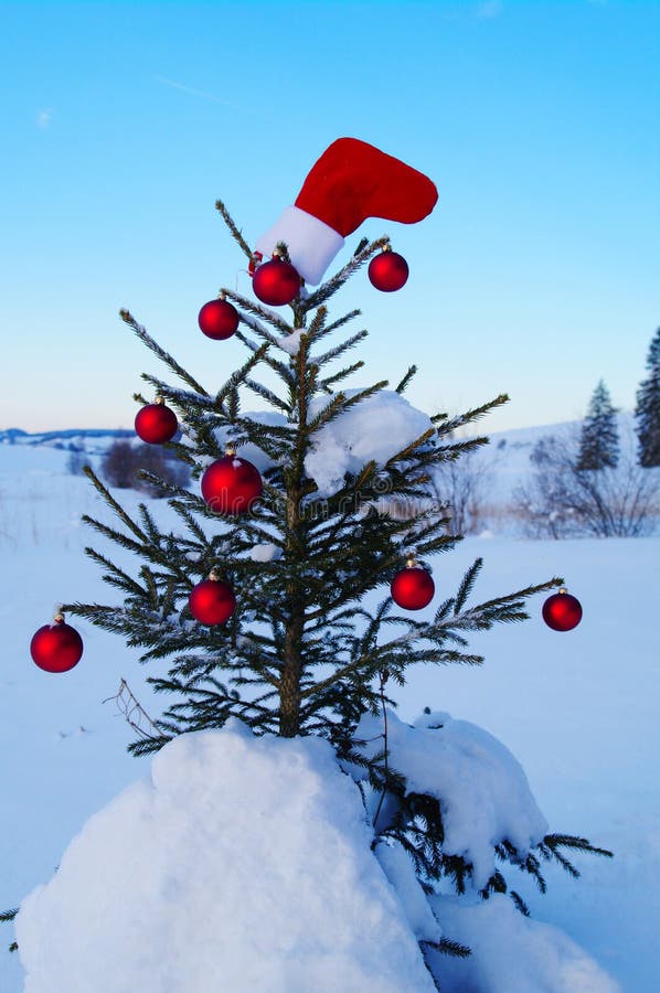 Kerstmis royalty-vrije stock foto