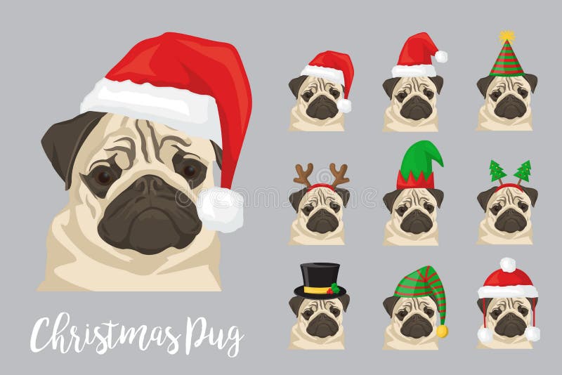 Christmas festive collection of cute pug puppy dogs wearing celebration new year ornament hat and headband, santa hat, deer horn, fur tree, elf cap. Christmas festive collection of cute pug puppy dogs wearing celebration new year ornament hat and headband, santa hat, deer horn, fur tree, elf cap