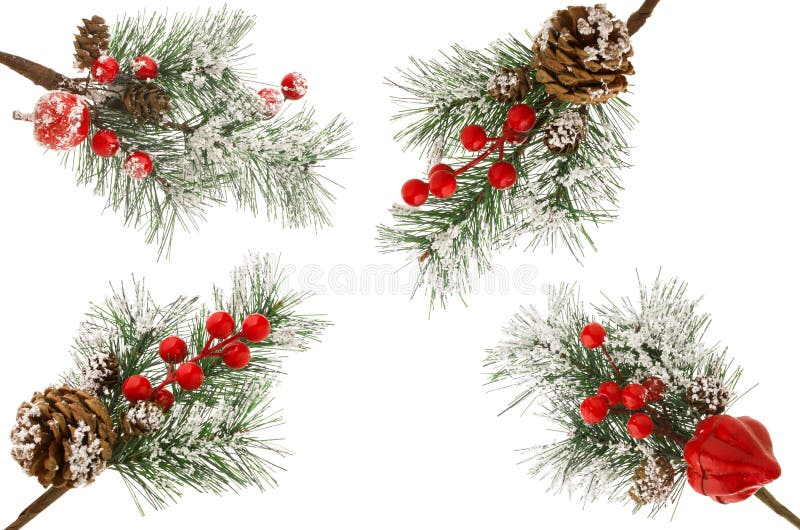 Kerstmis groene Nette tak met sneeuw, kegels en rode die bessen op witte achtergrond wordt geïsoleerd