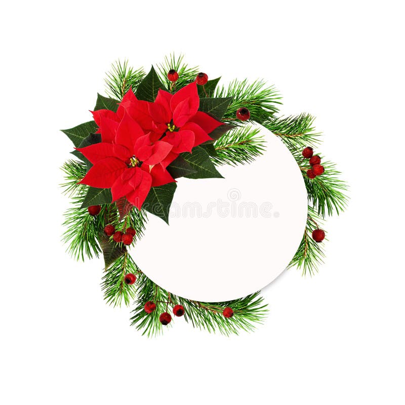 Kerstmis om kader met rode poinsettiabloemen, pijnboomtakjes stock foto Kerstmis om kader met rode poinsettiabloemen, pijnboomtakjes stock foto