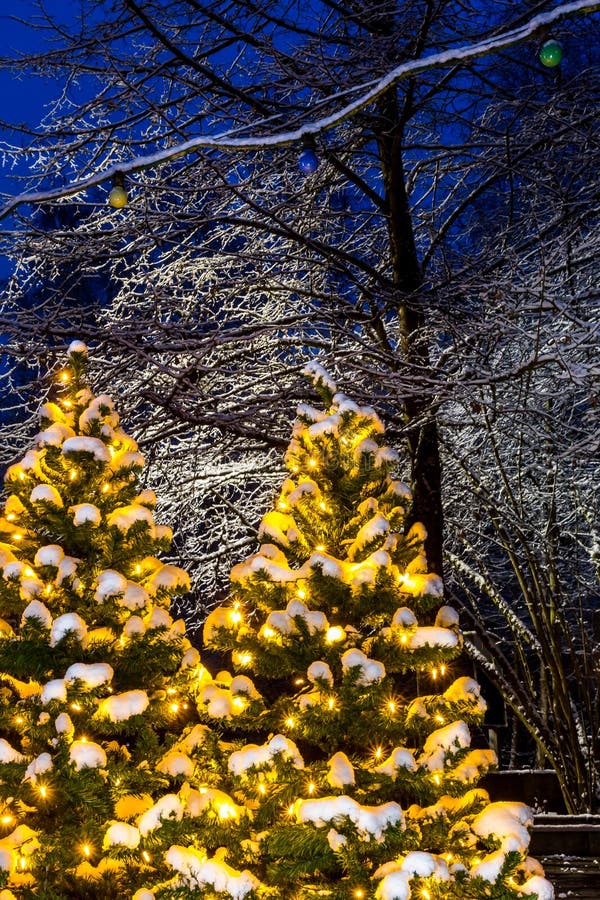 Kerstmis verlichte bomen - sneeuwavondscène royalty-vrije stock foto's Kerstmis verlichte bomen - sneeuwavondscène royalty-vrije stock foto's