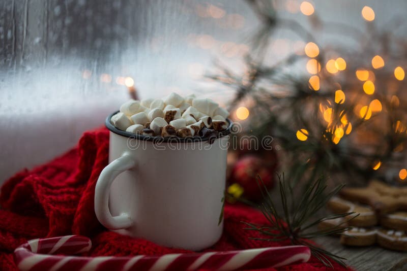 Kerstmis Witte chaskka met een Kerstmis hete drank door het venster royalty-vrije stock fotografie Kerstmis Witte chaskka met een Kerstmis hete drank door het venster royalty-vrije stock fotografie