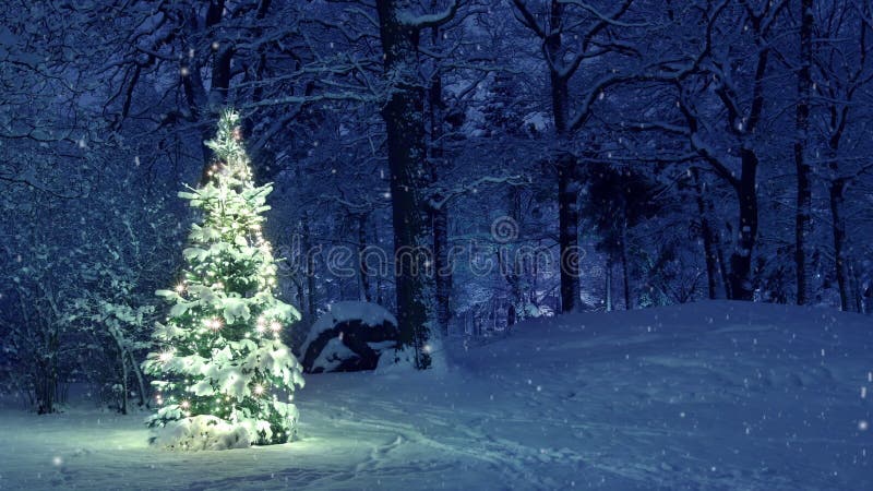 Kerstmisboom in sneeuw