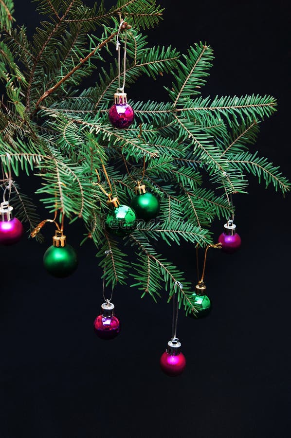 Kerstmisornamenten En Pijnboomtakken Op Zwarte Achtergrond Purpere En