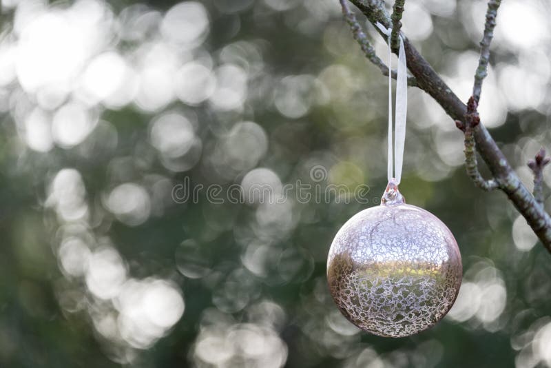 Kerstmissnuisterij die buiten hangen stock foto's Kerstmissnuisterij die buiten hangen stock foto's