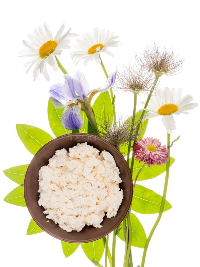 Keso med en bukett av blommor royaltyfri foto Keso med en bukett av blommor royaltyfri foto
