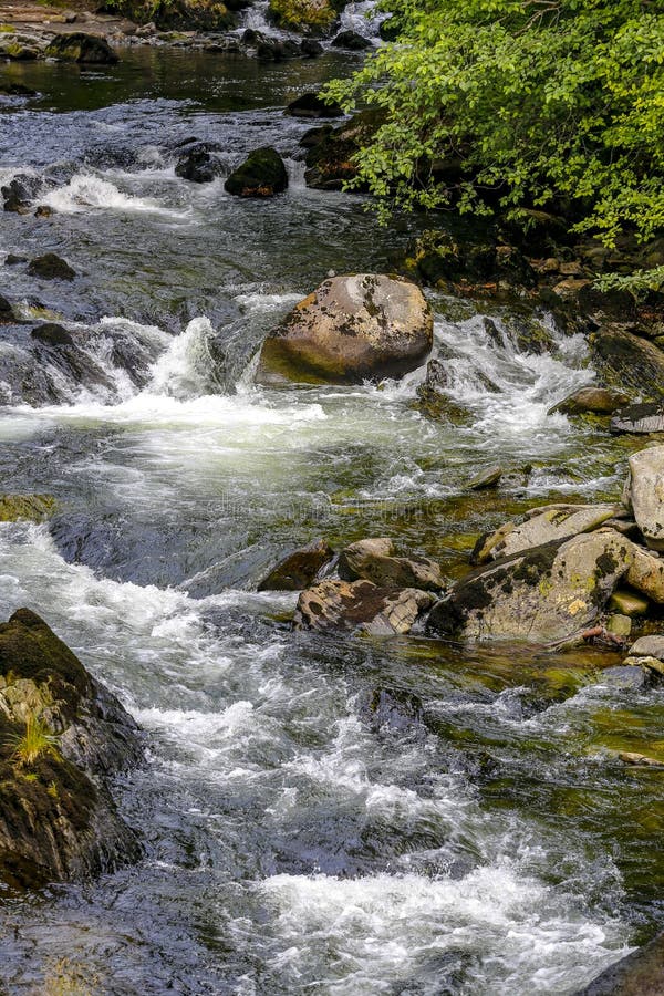 Ketchikan, Аляска, столица семг мира стоковые изображения Ketchikan, Аляска, столица семг мира стоковые изображения