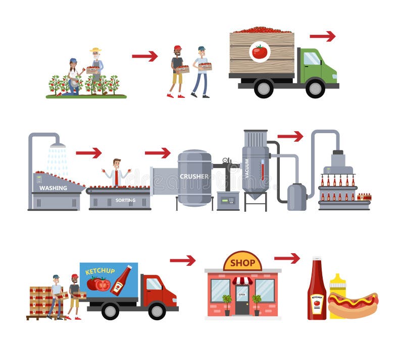 Ketchup Manufacture Process Stock Vector - Illustration of economy ...
